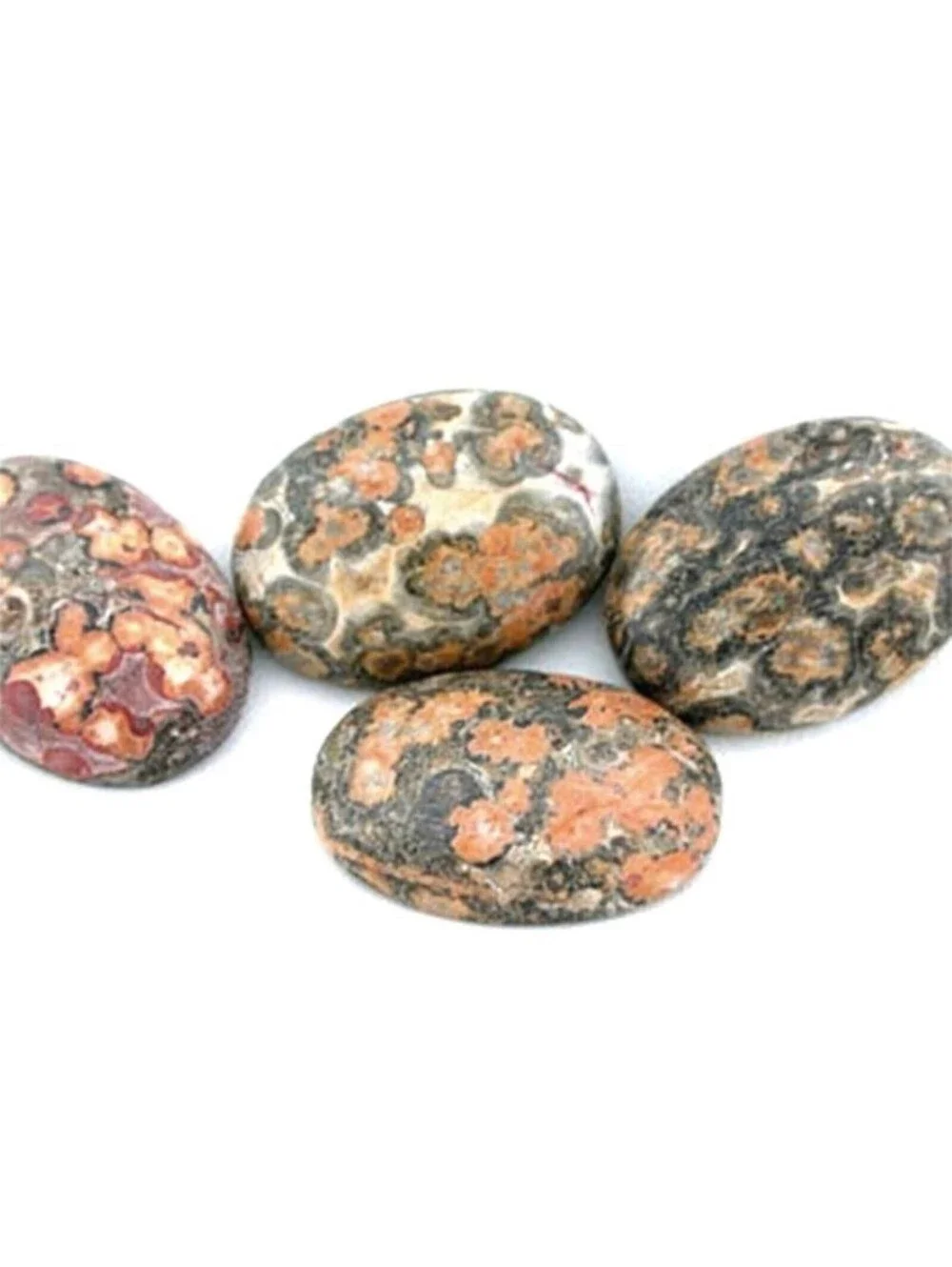 Leopardskin Jasper Natural Gemstone Flat Back Cabochons 18x13mm Oval 2 pcs